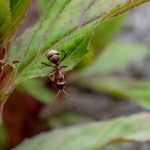20240525-NZ6_1873-Verbessert-RR.jpg