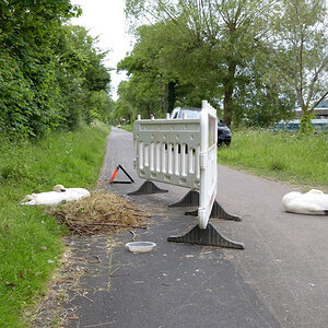 radweg3_201.JPG