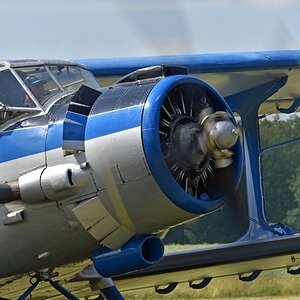 antonov_11.jpg