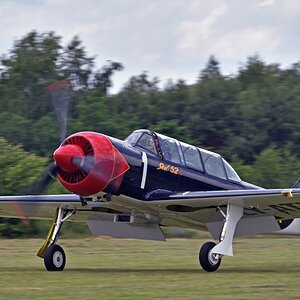 yak-52.jpg