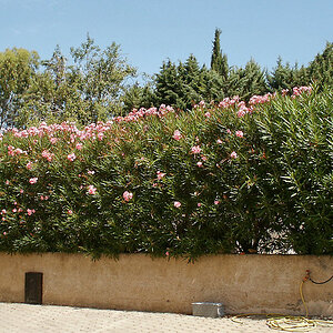 PICT1845_DxOPxl.jpg
