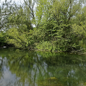 _DSC1258_DxOPAxl.jpg