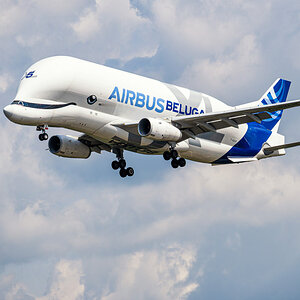 _ZFC8395-NEF-050.JPG