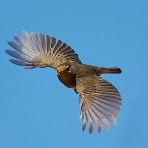 N6092324_hf.jpg
