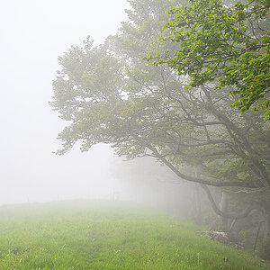 Nebel.jpg