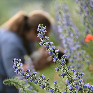 Fotografiere Fotografin.jpg