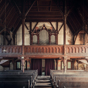 The Saved Organ