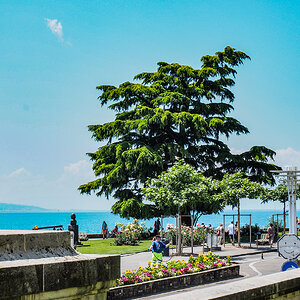 P7010011-Edit.jpg