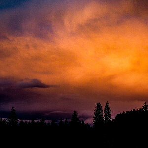 PB060011-Edit.jpg
