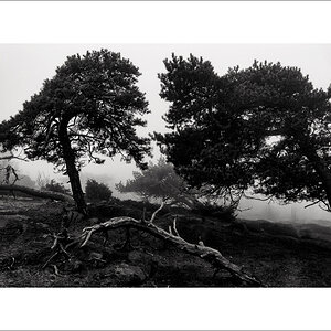 L1003361-Bearbeitet.JPG