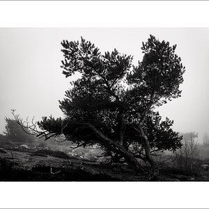 L1003363-Bearbeitet.JPG