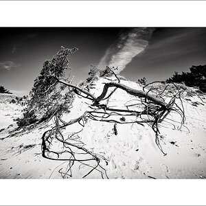 L1003488-Bearbeitet.JPG