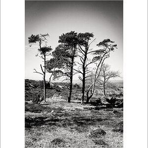 L1003547-Bearbeitet.JPG