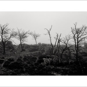 L1003356-Bearbeitet.JPG