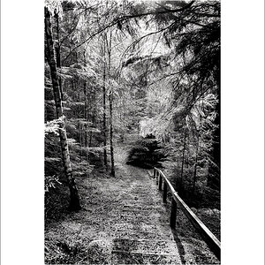 L1003580-Bearbeitet.JPG