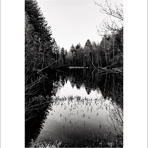 L1003581-Bearbeitet.JPG