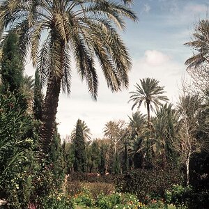Nouruz76-50.jpg