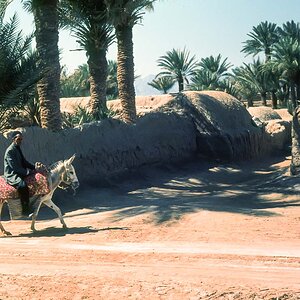 Nouruz76-56.jpg