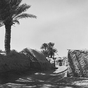 20240529-NIK_7390-2.jpg