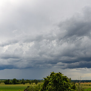 OF2_69056.jpg