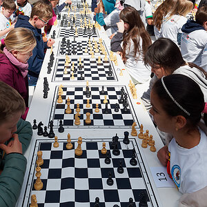 Schach macht schlau 3.jpg