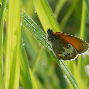 N6203053nikon.jpg
