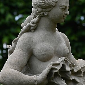 Rosengarten1.jpg
