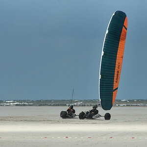 DFX_8645.jpg