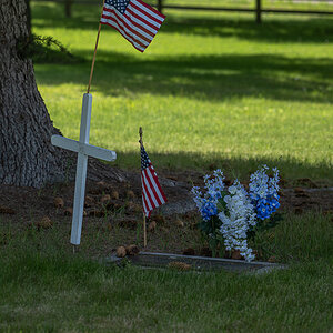 DSC_3466.jpg