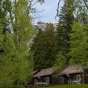 DSC_3541.jpg