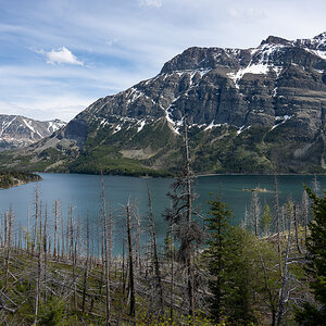 DSC_3597.jpg