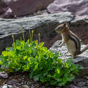 DSC_3602.jpg