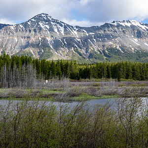 DSC_3653.jpg