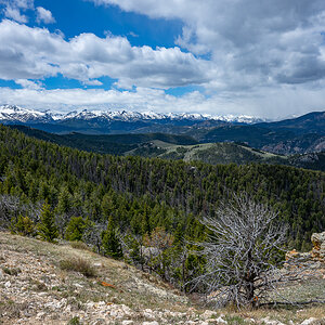 DSC_3695.jpg