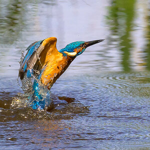 NZ9_3889_Wasserstart_IA_5_2024.jpg