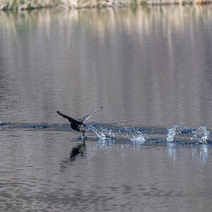 DSC_3372-Verbessert-RR.jpg