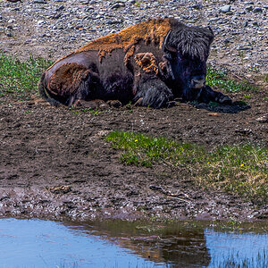 DSC_3406-Bearbeitet.jpg