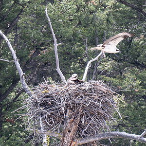 DSC_3833-Verbessert-RR.jpg