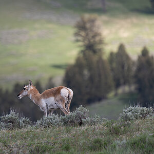 DSC_3862 (2)-Verbessert-RR.jpg