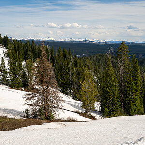 DSC_3863.jpg