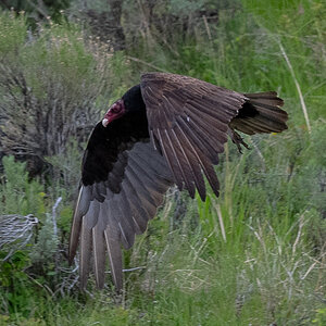DSC_4115.jpg