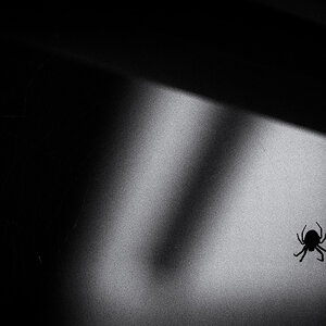 The Lurking Horror
