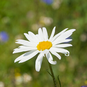 NIKON_2024_00603NF.jpg