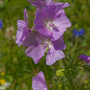 NIKON_2024_00604NF.jpg