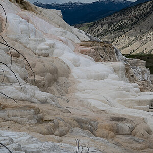 DSC_4242.jpg
