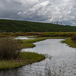 DSC_4270.jpg