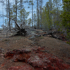 DSC_4412.jpg