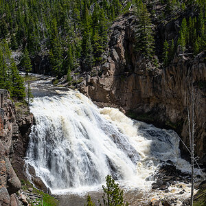 DSC_4446.jpg
