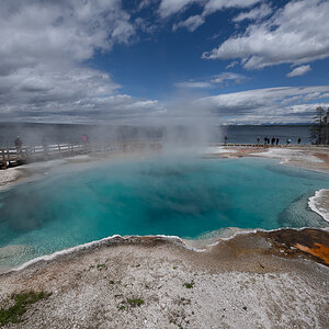 DSC_4459.jpg