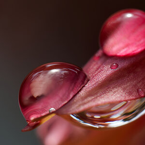 N6303738nikon.jpg
